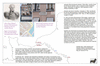 bau60 hamelin_thumb.gif